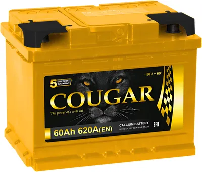 Автомобильный аккумулятор COUGAR Pro 600А о.п. R+ / L2.560 060.0 (60 А/ч)