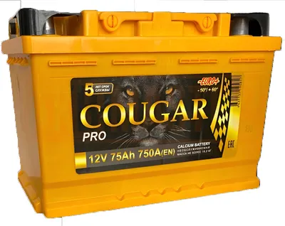 Автомобильный аккумулятор COUGAR Pro 750А о.п. R+ / L3.575 073.0 (75 А/ч)