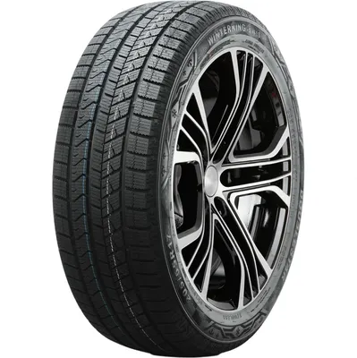 Зимняя шина DoubleStar DW16+ 205/55R16 91T