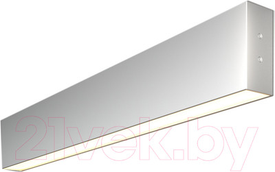 Подсветка для картин и зеркал Elektrostandard 101-100-30-53 10W 3000K (матовое серебро)