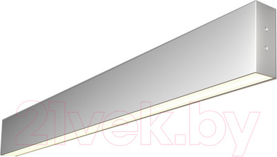 Подсветка для картин и зеркал Elektrostandard 101-100-30-78 15W 4200K (матовое серебро)