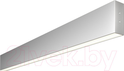 Подсветка для картин и зеркал Elektrostandard 101-100-40-78 30W 4200K (матовое серебро)