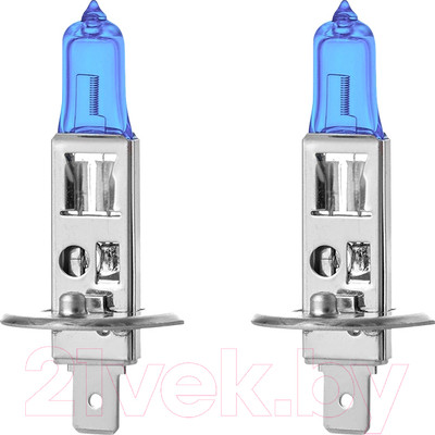 Комплект автомобильных ламп AVS Atlas Plastic A78905S (2шт)