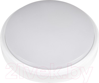 Светильник ЖКХ JAZZway 5011137