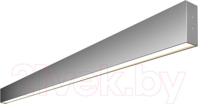 Подсветка для картин и зеркал Elektrostandard 101-100-30-128 25W 4200K (матовое серебро)
