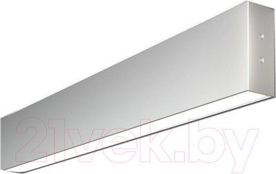 Подсветка для картин и зеркал Elektrostandard 101-100-40-53 20W 6500K (матовое серебро)