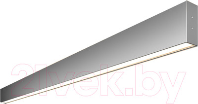 Подсветка для картин и зеркал Elektrostandard 101-100-40-128 50W 4200K (матовое серебро)