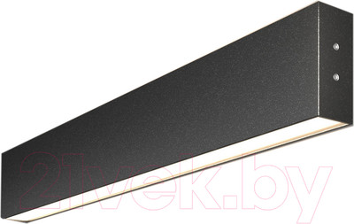 Подсветка для картин и зеркал Elektrostandard 101-100-40-53 20W 4200K (черная шагрень)