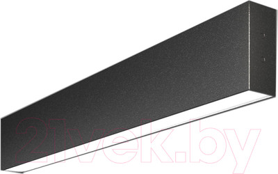 Подсветка для картин и зеркал Elektrostandard 101-100-30-53 10W 6500K (черная шагрень)