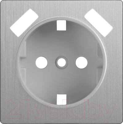 Лицевая панель Werkel WL09-USB-CP / a037011 (cеребряный рифленый)