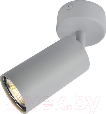 Спот Arte Lamp Aquarius A3216PL-1GY