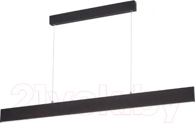 Потолочный светильник Arte Lamp Largo A2505SP-2BK