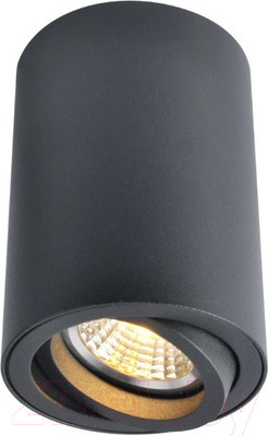 Точечный светильник Arte Lamp Sentry A1560PL-1BK