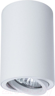Точечный светильник Arte Lamp Sentry A1560PL-1WH