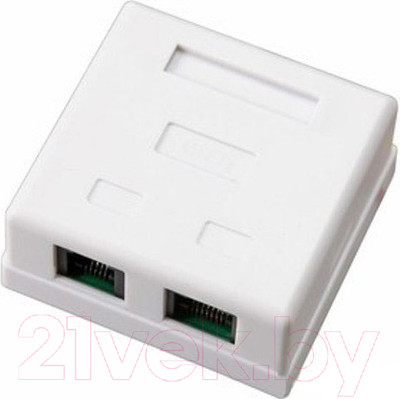 Розетка Rexant RJ-11+RJ-45 / 03-0120