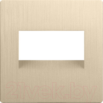 Лицевая панель Werkel WL10-RJ45+RJ45-CP / a041306 (шампань рифленый)