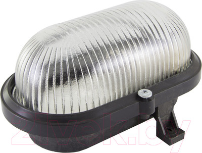 Светильник ЖКХ TDM SQ0312-0011