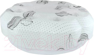 Потолочный светильник TDM SQ0329-0162