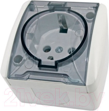 Розетка TDM Селигер SQ1818-0007 (белый)