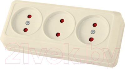 Розетка TDM Ладога SQ1801-0225 (слоновая кость)