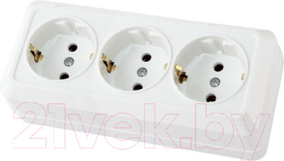 Розетка TDM Ладога SQ1801-0126 (белый)