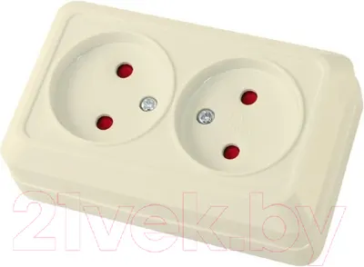 Розетка TDM Ладога SQ1801-0065 (слоновая кость)