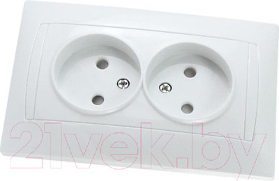 Розетка TDM Лама SQ1815-0012 (белый)