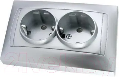 Розетка TDM Лама SQ1815-0213 (серебристый металлик)