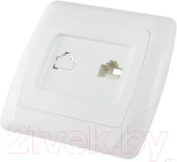 Розетка TDM Онега SQ1805-0020 (белый)