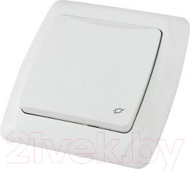 Розетка TDM Онега SQ1805-0019 (белый)