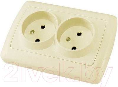 Розетка TDM Онега SQ1805-0046 (слоновая кость)