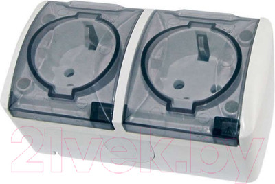 Розетка TDM Селигер SQ1818-0009 (белый)