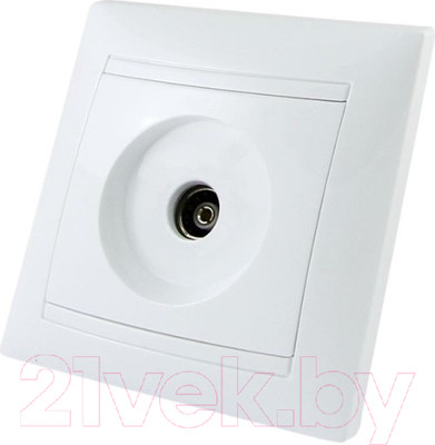 Розетка TDM Лама SQ1815-0017 (белый)