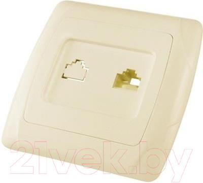 Розетка TDM Онега SQ1805-0049 (слоновая кость)