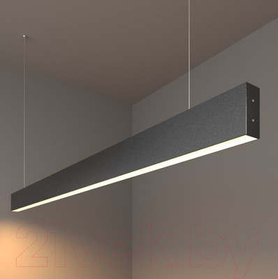 Потолочный светильник Elektrostandard 101-200-40-103 40W 6500K (черная шагрень)