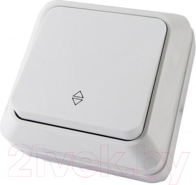 Выключатель TDM Ладога SQ1801-0005 (белый)