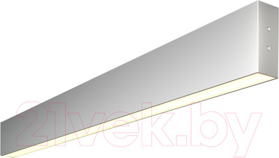 Подсветка для картин и зеркал Elektrostandard 101-100-30-78 15W 3000K (матовое серебро)
