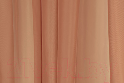 Комплект гардин Delfa СТШ/Д-050 Voile/056 (200x270, барбарис)