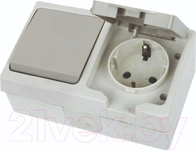 Блок выключатель+розетка TDM Вуокса SQ1803-0010