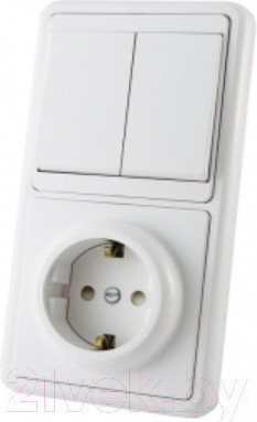 Блок выключатель+розетка TDM SQ1813-0002