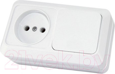 Блок выключатель+розетка TDM Ладога SQ1801-0105