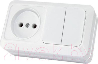 Блок выключатель+розетка TDM Ладога SQ1801-0106