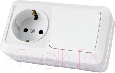 Блок выключатель+розетка TDM Ладога SQ1801-0101