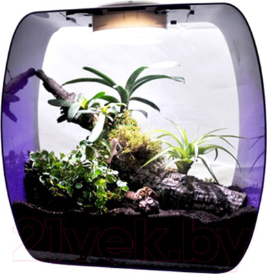 Террариум Lucky Reptile Life Box / LB-35P (фиолетовый)