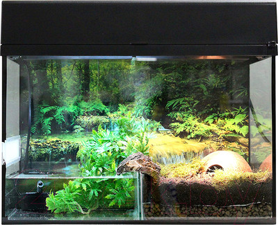 Террариум Lucky Reptile Стартовый комплект для амфибий / SK50BP-B (черный)