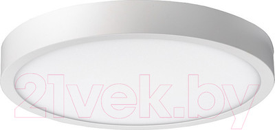 Светильник Elektrostandard DLR034 24W 4200K