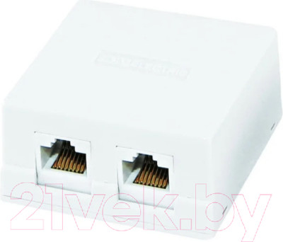 Розетка TDM SQ1809-0004