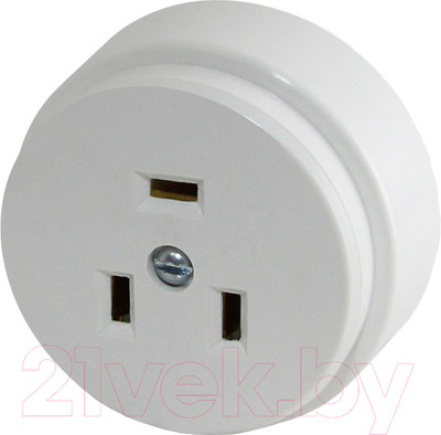 Розетка TDM SQ1812-0005