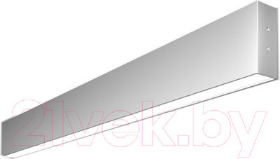 Подсветка для картин и зеркал Elektrostandard 101-100-40-78 30W 6500K (матовое серебро)