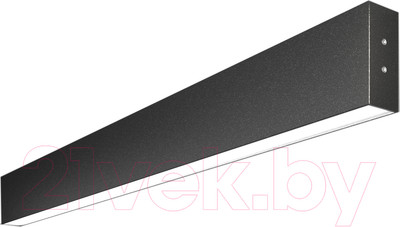 Подсветка для картин и зеркал Elektrostandard 101-100-40-78 30W 6500K (черная шагрень)